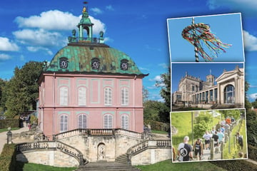 Dresden: Raus ins Grüne: Mit diesen 8 Tipps wird Euer Sonntag richtig schön