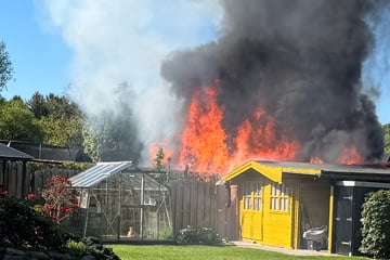 Flammen-Inferno im Norden! Gartenarbeiten lösen Großbrand aus
