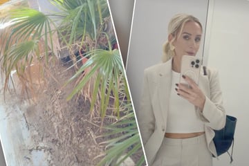 Peggy Jerofke fällt aus allen Wolken: Ihr "TikiBeach" über Nacht verwüstet