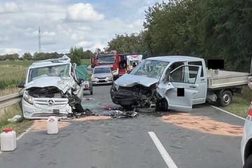 Transporter gerät in den Gegenverkehr: Mehrere Verletzte, Hunde haben Glück im Unglück