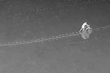 Mitten durchs Watt: Mann mit Fahrrad zu Nordseeinsel unterwegs