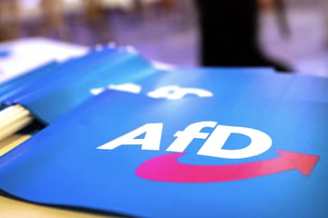 Nach "Abschiebetickets" der AfD: Polizei ermittelt wegen Verdachts der Volksverhetzung