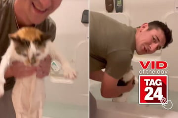 Viral Video of the Day for June 29, 2024: Girl's boyfriend gives cat bath after poop incident
