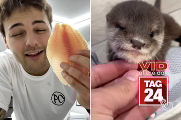 Viral Video of the Day for December 31, 2025: Baby otter tries fish for first time in adorable TikTok!