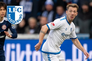 Kein Abschied vom 1. FC Magdeburg: Connor Krempicki bleibt bei den Elbestädtern!