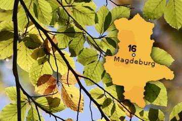 Sachsen-Anhalt in heitere Wetterwoche, doch hier wird es stürmisch