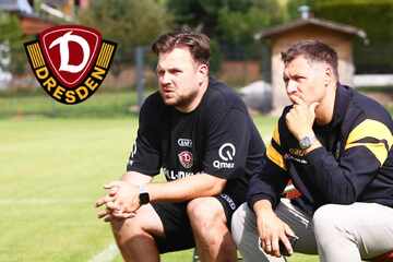 Vom Profil bis zur Unterschrift: So holt Dynamo neue Spieler