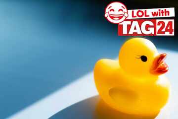 Joke of the Day for May 16, 2025: An awesome animal joke to make you laugh