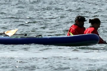 Buckelwal "Timmy" läuft die Zeit davon: Startet heute endlich die Rettung?