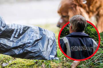 Berlin: Haufenweise Kontrollen: Berlin sagt faulen Hundebesitzern den Kampf an