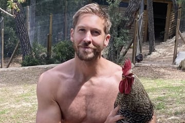 DJ Calvin Harris erschüttert: Geliebter Hahn brutal getötet