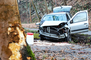 Unfall im Erzgebirge: Auto knallt gegen Baum, Fahrerin schwer verletzt