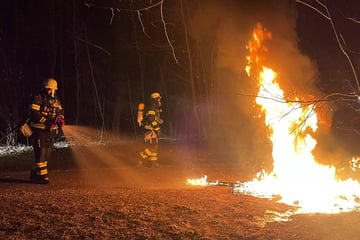 München: Mobiles Klo brennt lichterloh: Feuerwehr rückt nach Untergiesing aus