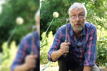 Abenteuer Gemüsegarten: Mit diesen Tipps und Tricks wird er zur Oase