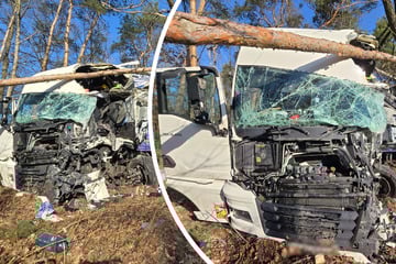 Unfall A13: Stau-Chaos auf A13: Lkw kommt von Fahrbahn ab, Kartoffellaster verliert 400 Liter Diesel