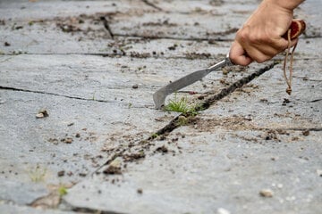 Seniorin will Unkraut jäten, doch dann steht die Gartenlaube in Flammen