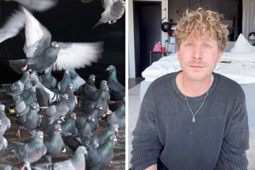 Malte Zierden: Aufruf zum Mord? Ermittlungen gegen Followerin von Malte Zierden