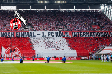 Conference League: 1. FC Köln muss sich in den Playoffs gegen diesen Gegner beweisen