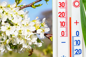 Frühlingswetter! Bis zu 20 Grad am Wochenende