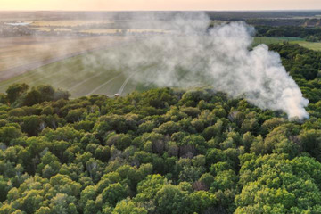 Waldbrand im Landkreis Leipzig: Waren hier Brandstifter am Werk?