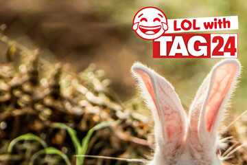 Joke of the Night for December 29, 2025: Hopped up on funny!