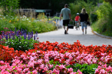Geldmangel und Planungsprobleme: Landesgartenschauen in Ostthüringen verschoben