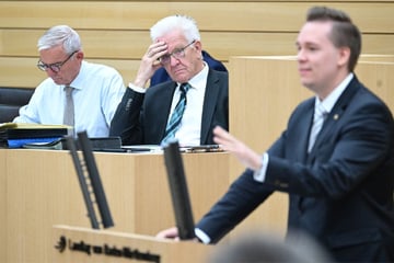 AfD-Politiker im Landtag völlig entgleist: "Einmal kurz die Fresse halten"