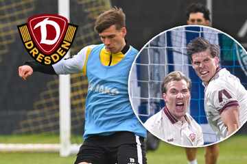 "Brutal": Selbst Rossipal staunt über Dynamos Waffe im Abstiegskampf