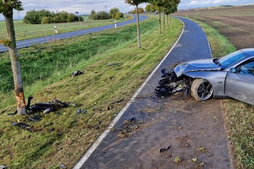 BMW kracht gegen Baum und dreht sich um 90 Grad: Zwei Verletzte und Totalschaden!