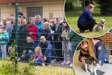 Dresden: Offenes Tierheim: Hunderte zu Besuch bei Bello & Co.