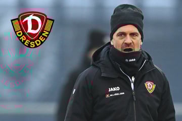 Dynamo-Trainer Stamm hat gegen Schalke die Qual der Wahl