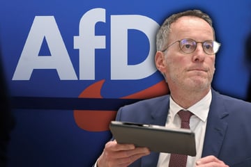 Bundesland will AfD-Mitglieder von öffentlichem Dienst ausschließen