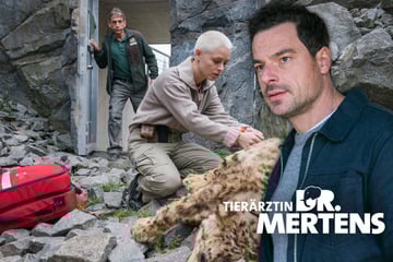 "Tierärztin Dr. Mertens": Dr. Berger lässt die Bombe platzen