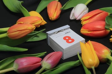 Demonstrationen zum Frauentag in Jena und Erfurt: Verkehrsbehinderungen am Sonntag erwartet