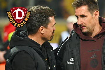 Dynamos Stamm klettert im Trainer-Ranking, nur zwei liegen noch vor ihm