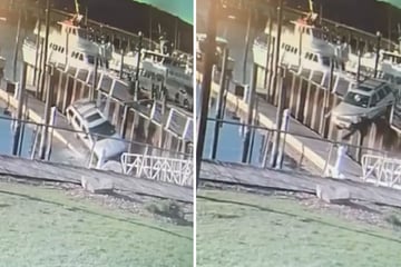 Fahranfängerin brettert mit Jeep über Hafensteg, doch das Ende der Tour ist erstaunlich