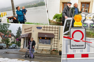 Sie stapeln wieder Sandsäcke am Elbufer: Keine Panik trotz Hochwasser in Laubegast!