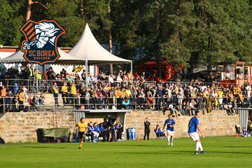 SC Borea Dresden bekommt kräftige Finanzspritze für den Ausbau des Jägerparks!