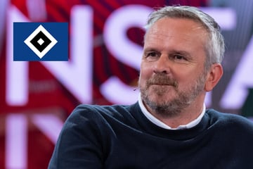 HSV-Blog: "Sky"-Experte adelt Rothosen und Coach Polzin