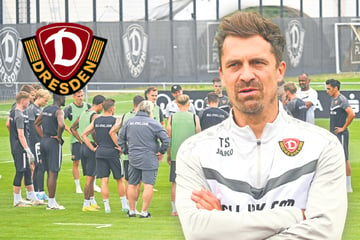 Wie sieht die neue Stamm-Elf aus? Dynamo-Coach muss sich entscheiden!