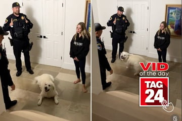 Viral Video of the Day for September 10, 2024: Dog "saves" owner from getting arrested with cute looks