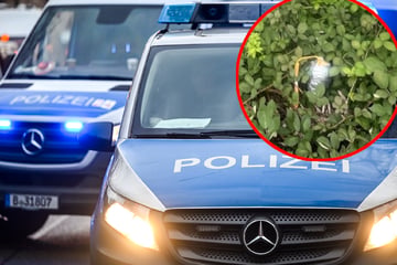 Kugelbombe an Strommast gefunden: Jetzt ermittelt der Staatsschutz
