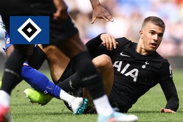HSV-Blog: Kommt der Vuskovic-Bruder nach Hamburg?
