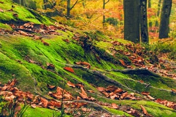 Spruch des Tages vom 31.10.2025 - Tägliche Inspiration von TAG24