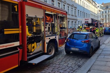 Dresden: Essen auf dem Herd vergessen: Feuerwehreinsatz in der Neustadt