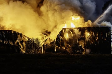 Feuerwehr-Großeinsatz in Mainz: Brennende Lagerhalle stürzt vollständig ein