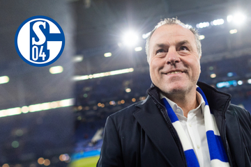 Ausgerechnet Tönnies! Ex-Schalke-Boss plant Umsturz beim Krisen-Klub