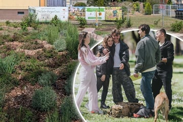 Dresden: Neue BürgerOase in Freital eröffnet: Aus grauer Fläche wird grüner Treffpunkt