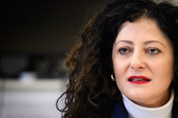 Nach Tesla-Eklat: Senatorin Kiziltepe verteidigt umstrittene Nazi-Aussage