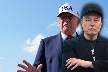Wegen neuer Partei: Donald Trump wirft Elon Musk geistigen Verfall vor
